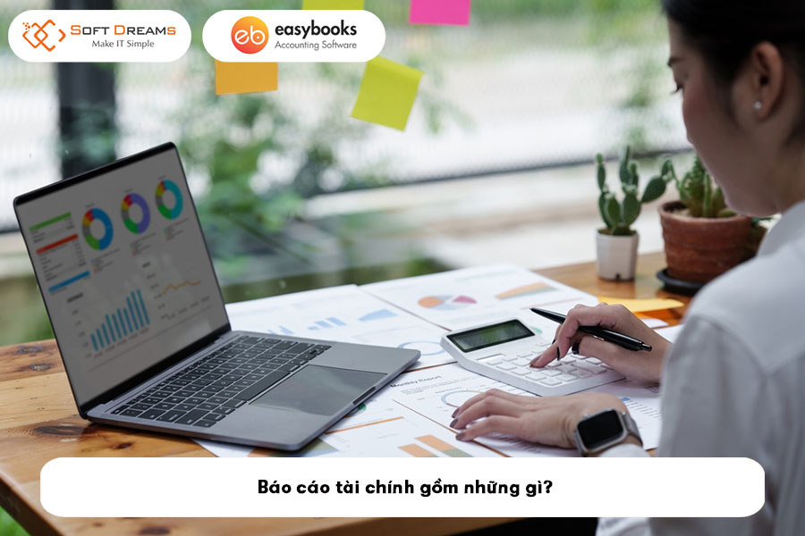 bao-cao-tai-chinh-gom-nhung-gi