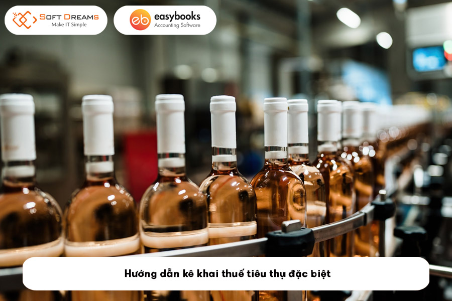 huong-dan-ke-khai-thue-tieu-thu-dac-biet