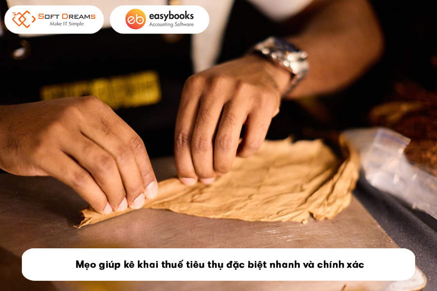 meo-giup-ke-khai-thue-tieu-thu-dac-biet-nhanh-va-chinh-xac