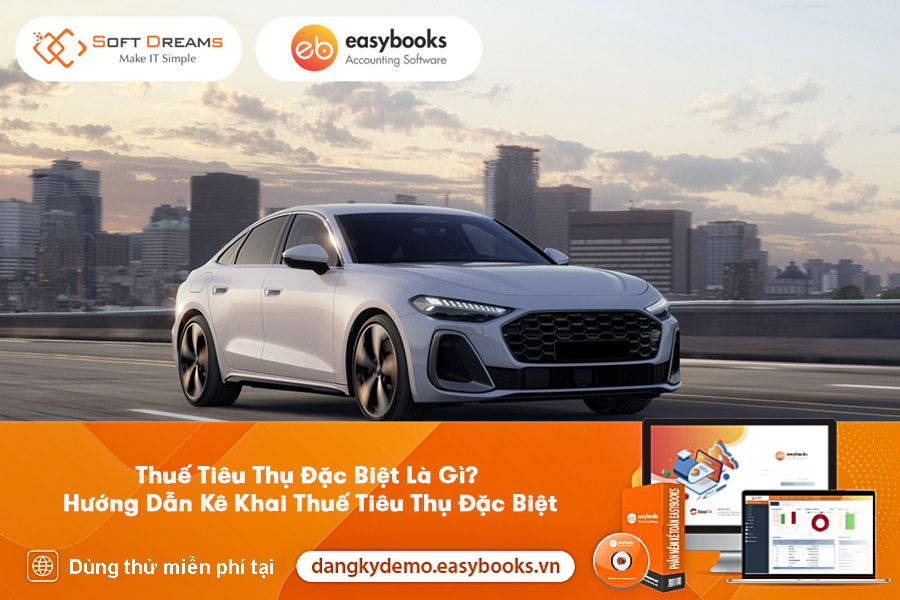 thue-tieu-thu-dac-biet-la-gi