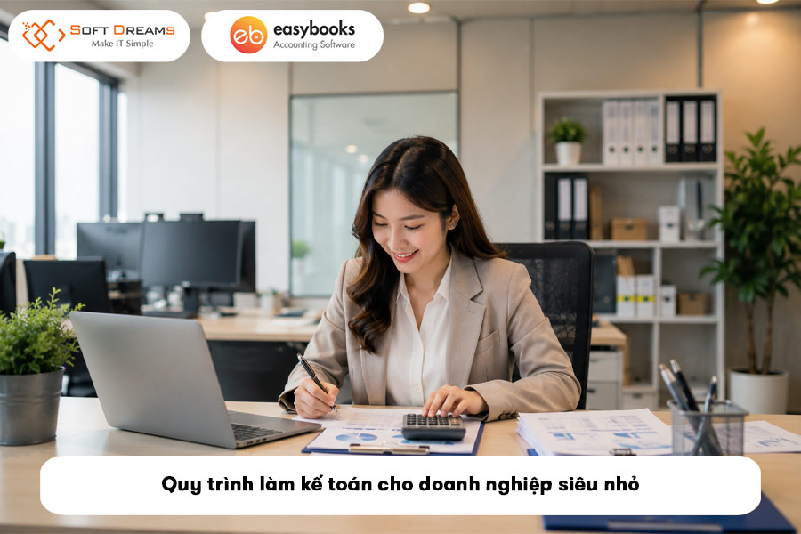 quy-trinh-lam-ke-toan-cho-doanh-nghiep-sieu-nho