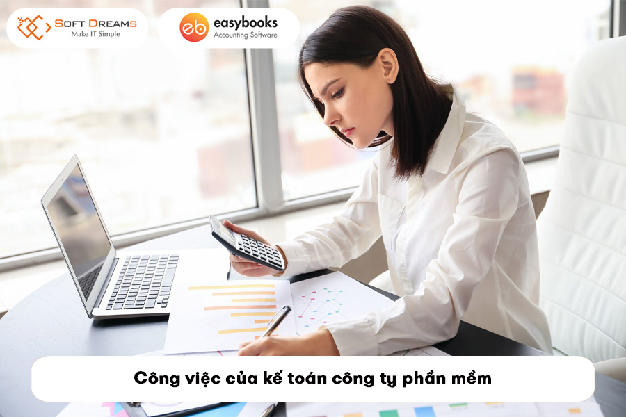 cong-viec-cua-ke-toan-cong-ty-phan-mem