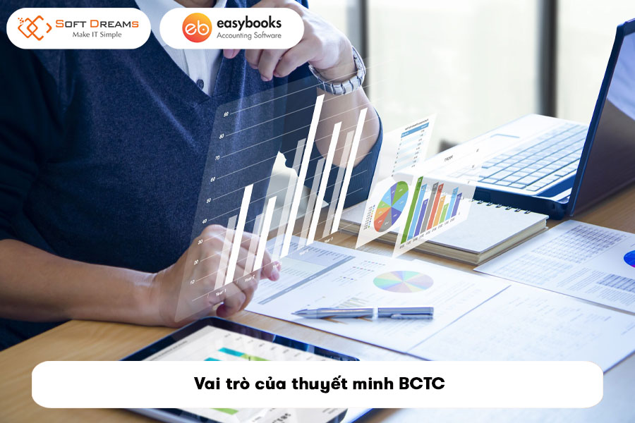 mau-thuyet-minh-bao-cao-tai-chinh-theo-thong-tu-133-2