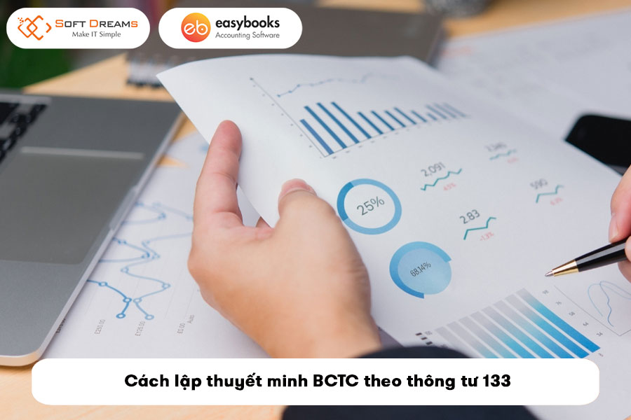 mau-thuyet-minh-bao-cao-tai-chinh-theo-thong-tu-133-3