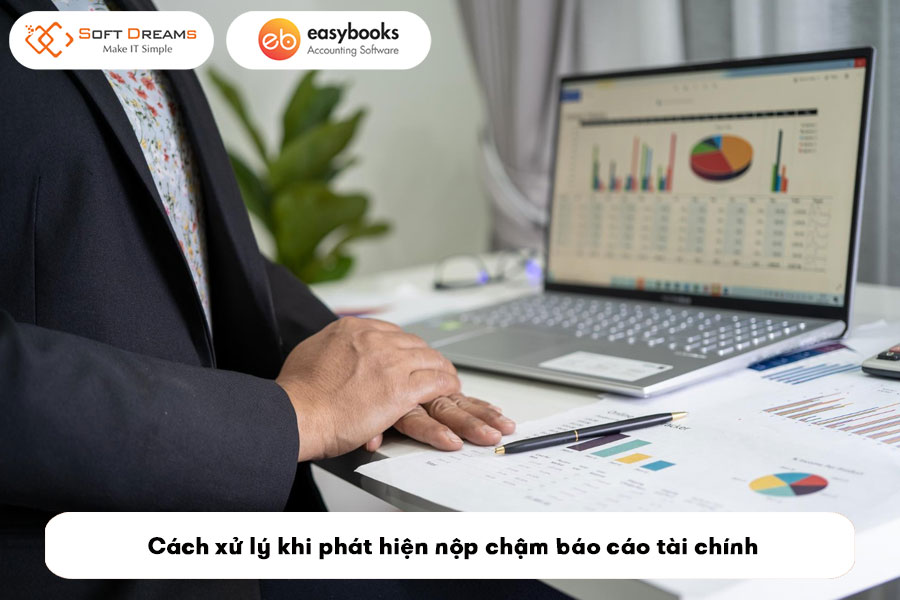 nop-cham-bao-cao-tai-chinh-phat-nhu-the-nao-3