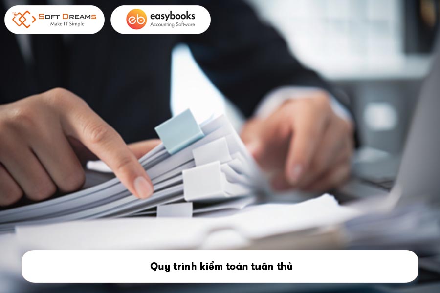 quy-trinh-kiem-toan-tuan-thu