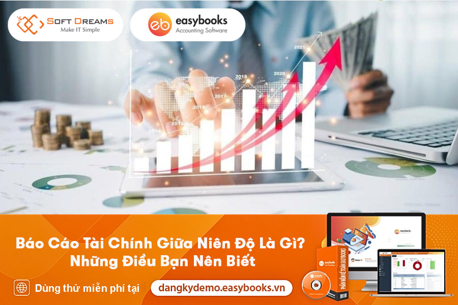 bao-cao-tai-chinh-giua-nien-do-la-gi-1