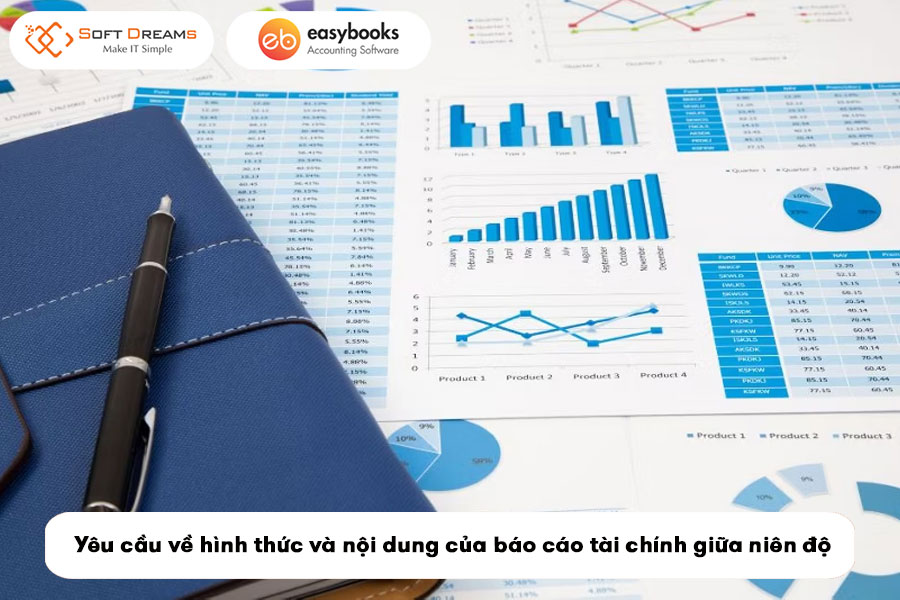 bao-cao-tai-chinh-giua-nien-do-la-gi-3