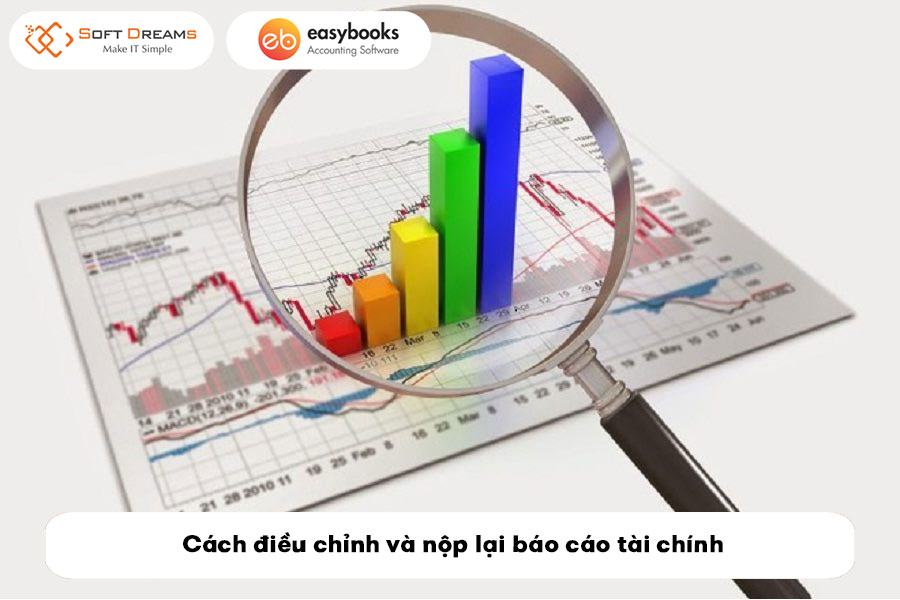 cach-xu-ly-bao-cao-tai-chinh-sai-nhu-the-nao-3