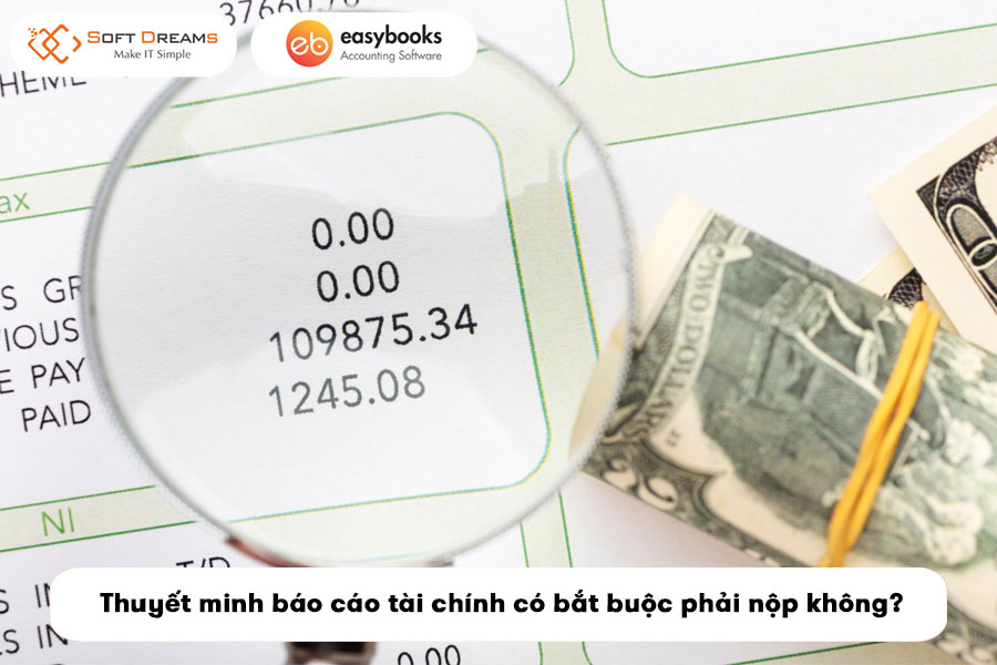 khong-nop-thuyet-minh-bao-cao-tai-chinh-co-bi-phat-khong-2