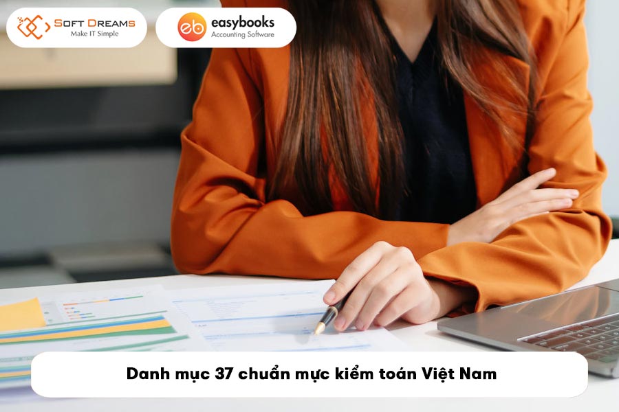 tong-hop-danh-muc-37-chuan-muc-kiem-toan-viet-nam-3