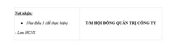 mau-quyet-dinh-bo-nhiem-ke-toan-truong-10