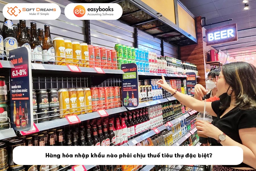 hang-nhap-khau-nao-phai-chiu-thue-tieu-thu-dac-biet