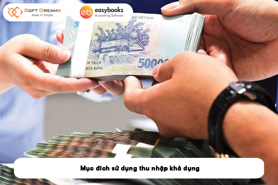 muc-dich-su-dung-thu-nhap-kha-dung