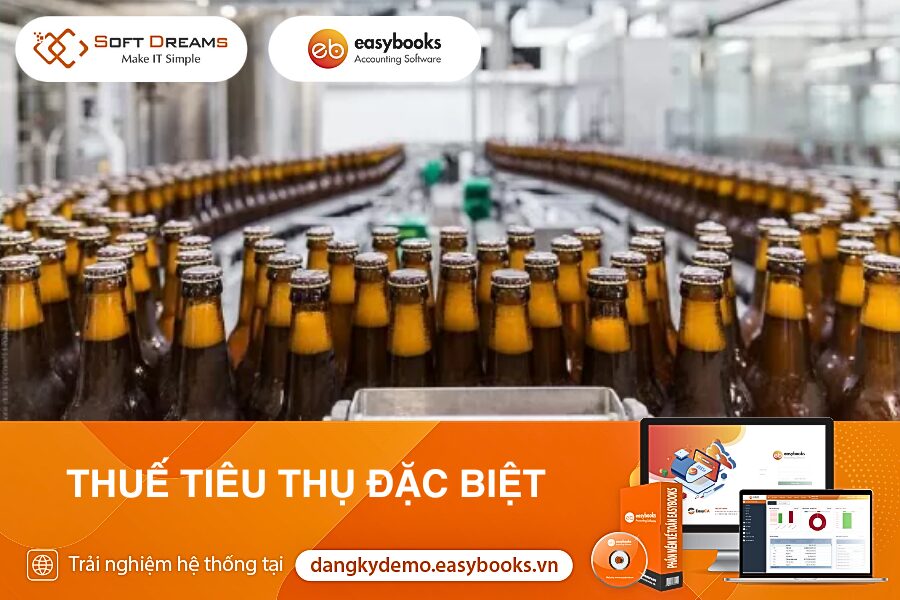 thue-tieu-thu-dac-biet