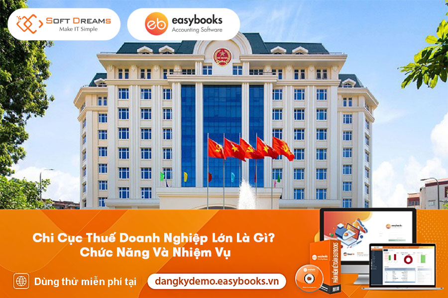 chi-cuc-thue-doanh-nghiep-lon-la-gi