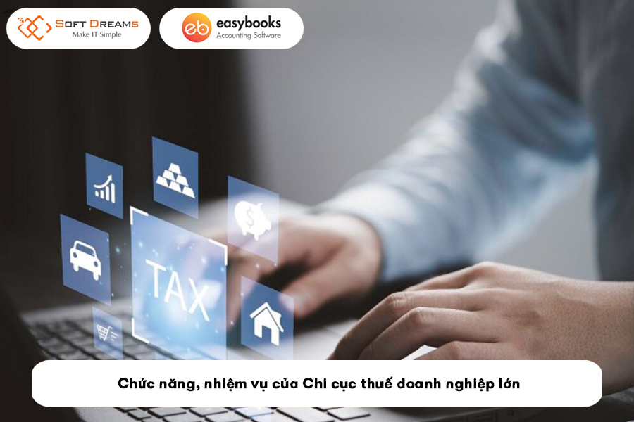chuc-nang-nhiem-vu-cua-chi-cuc-thue-doanh-nghiep-lon