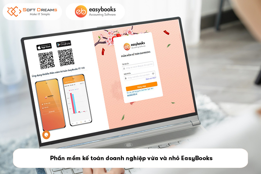 phan-mem-ke-toan-doanh-nghiep-vua-va-nho-easybooks