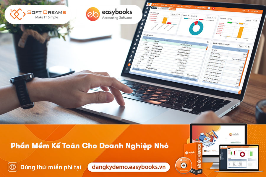 phan-mem-ke-toan-cho-doanh-nghiep-nho