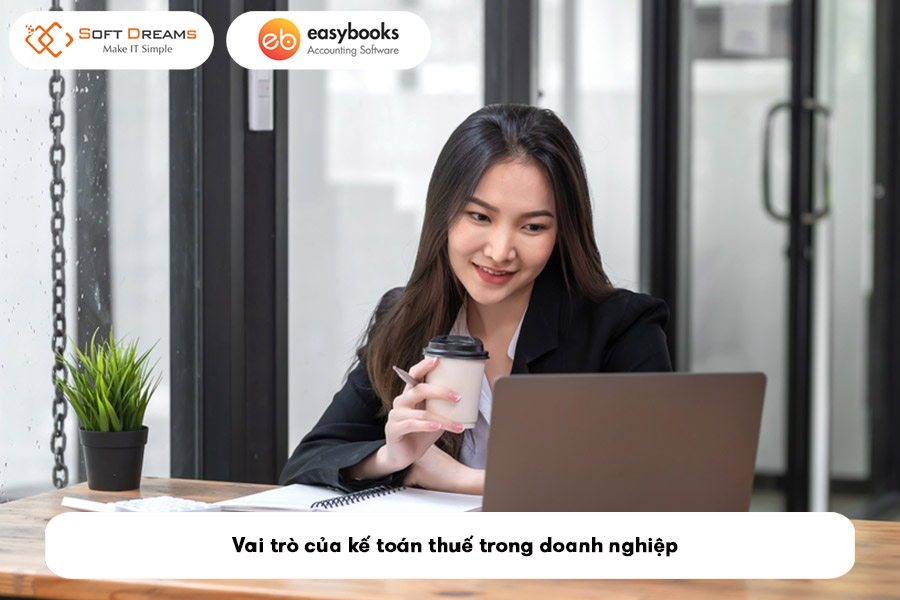 vai-tro-cua-ke-toan-thue-trong-doanh-nghiep