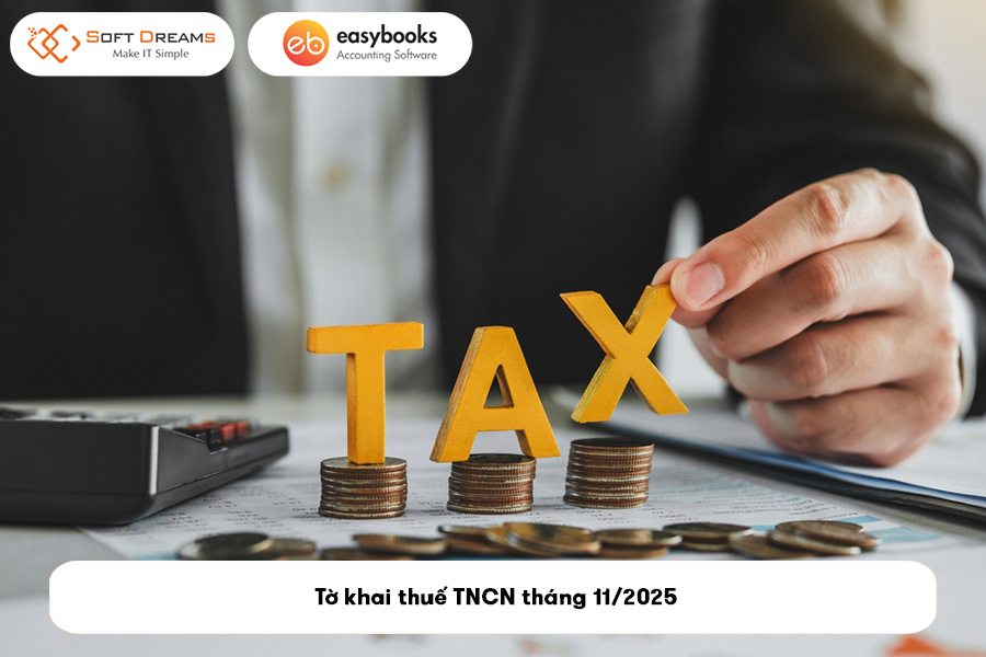 to-khai-thue-tncn-thang-11