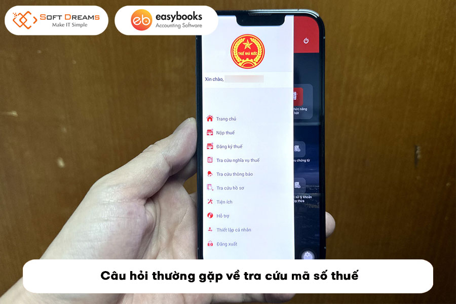 12-cach-tra-cuu-ma-so-thue-doanh-nghiep-ho-kinh-doanh-ca-nhan-3