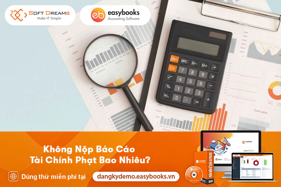 khong-nop-bao-cao-tai-chinh-phat-bao-nhieu-1