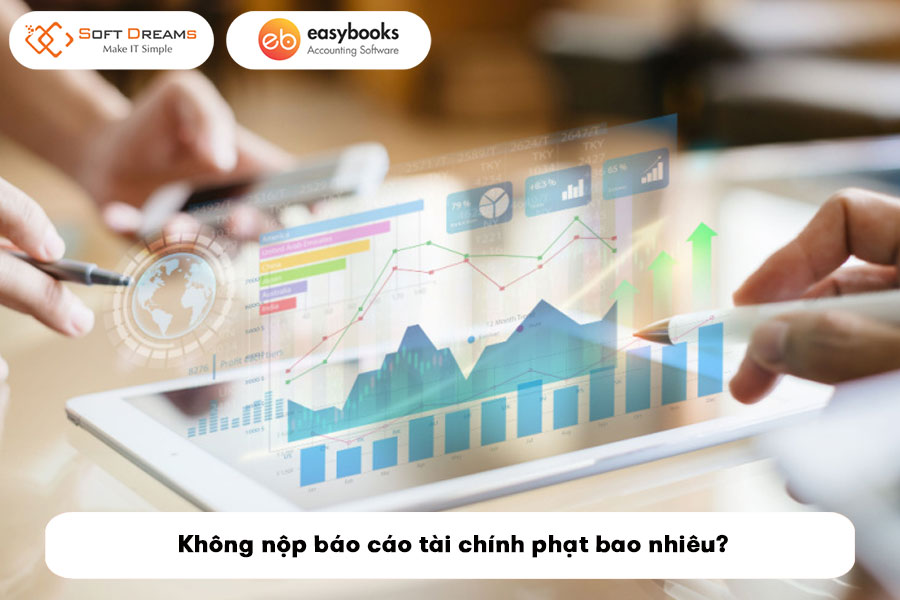 khong-nop-bao-cao-tai-chinh-phat-bao-nhieu-3