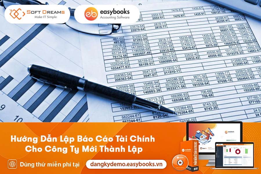 huong-dan-lap-bao-cao-tai-chinh-cho-cong-ty-moi-thanh-lap-1