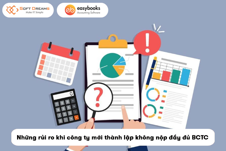 huong-dan-lap-bao-cao-tai-chinh-cho-cong-ty-moi-thanh-lap-4