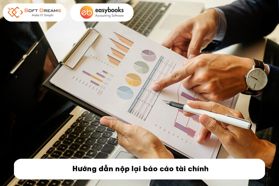 nop-lai-bao-cao-tai-chinh-la-nhu-the-nao-3