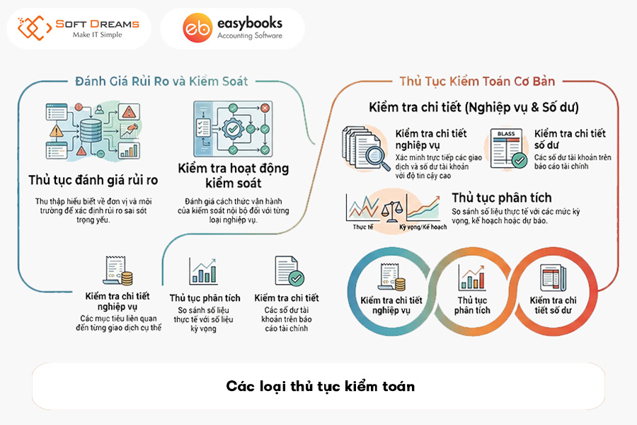 cac-loai-thu-tuc-kiem-toan