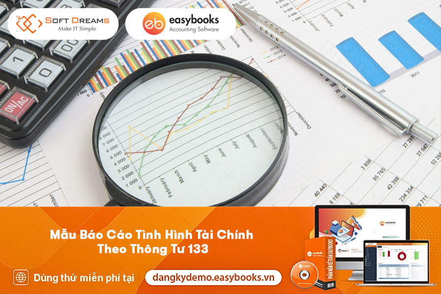 mau-bao-cao-tinh-hinh-tai-chinh-theo-thong-tu-133