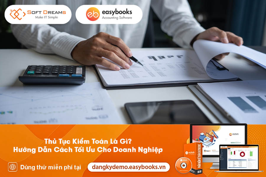 thu-tuc-kiem-toan