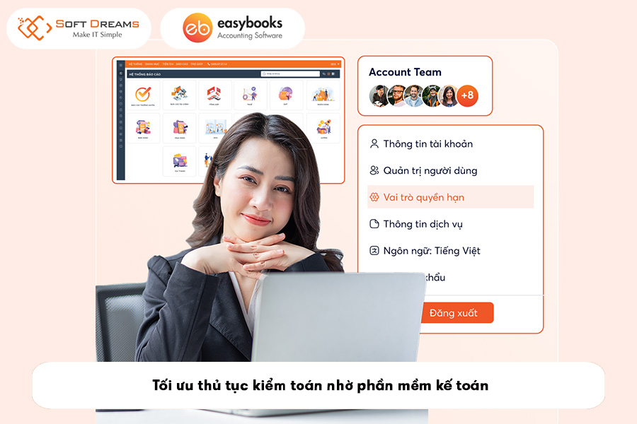 toi-uu-thu-tuc-kiem-toan-nho-phan-mem-ke-toan