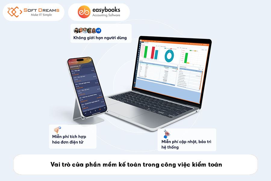 vai-tro-cua-phan-mem-ke-toan-trong-cong-viec-kiem-toan