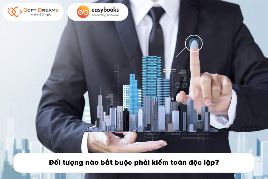 doi-tuong-nao-bat-buoc-phai-kiem-toan-doc-lap