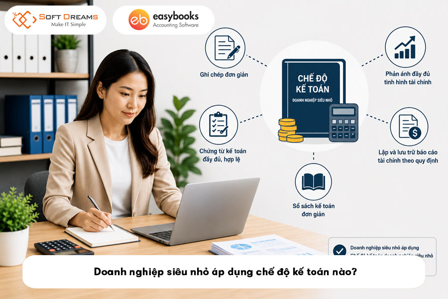 doanh-nghiep-sieu-nho-ap-dung-che-do-ke-toan-nao