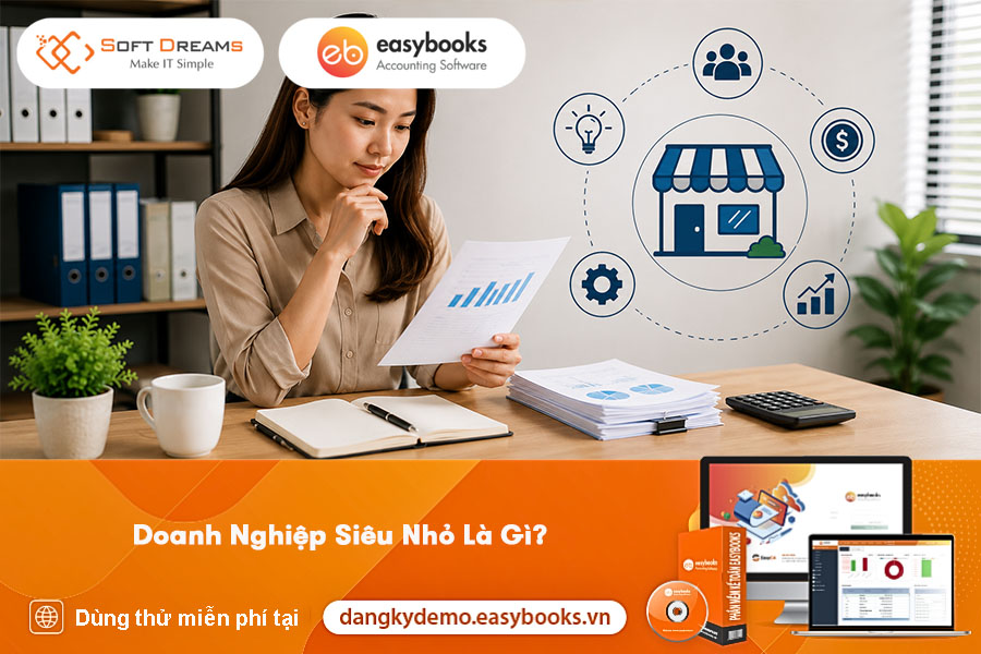 doanh-nghiep-sieu-nho-la-gi