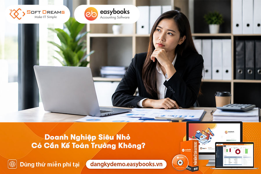 doanh-nghiep-sieu-nho-co-can-ke-toan-truong-khong