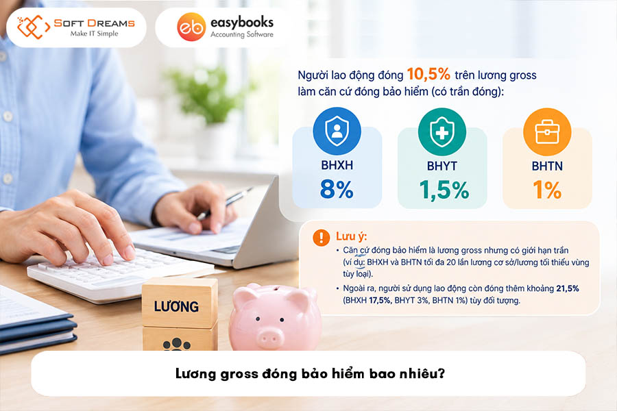 luong-gross-dong-bao-hiem-bao-nhieu